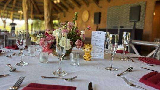San Diego Safari Park Wedding